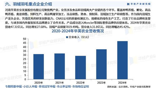 2025年中国羽绒羽毛行业产业链、重点企业分析及投资战略与园区资产投资管理研究