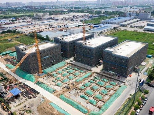 投资50亿元，宿迁抢滩“它经济” 首个宠物经济产业园蓄势待发